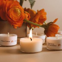 Bergamood Duft-Teelichter