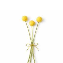  Yellow round ball dried flowers, tall stems, botanical arrangement, natural home decor