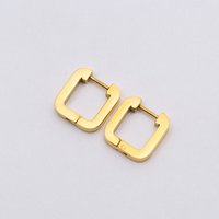 Oorbellen stainless steel GOUD - E60507030299