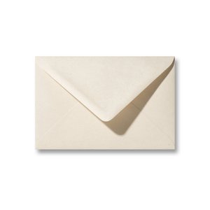 Paperwise envelop 11 x 15,6