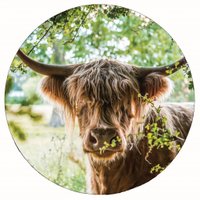 Muurcirkel highlander summer