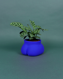 CACHE POT - SMALL BUTTLE