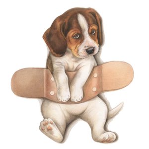 Square map - plaster about Beagle - get well soon