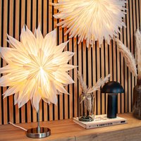 Stella-Viola, wit papier met goudfolie 40cm