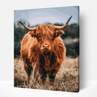 Scottish Highlander