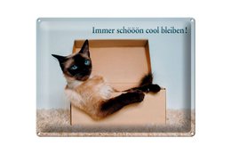  Black cat in cardboard box, tin sign, decorative wall art, "stay cool" text, metal sign