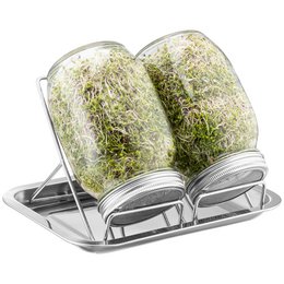 A set of two clear glass sprouting jars with a stainless steel stand, designed for growing sprouts and microgreens. The jars are filled with green sprouts or microgreens, indicating their intended use.