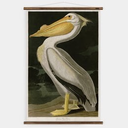A large, white pelican with a long, yellow beak perched on a dark background. The pelican has a majestic and graceful appearance, making it a striking piece of wall art.