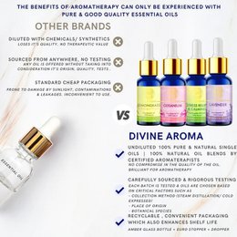 Ätherisches Pfefferminzöl | 10 ml l 100 % rein und natürlich