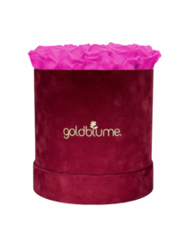 Velvet Bordeaux Collection