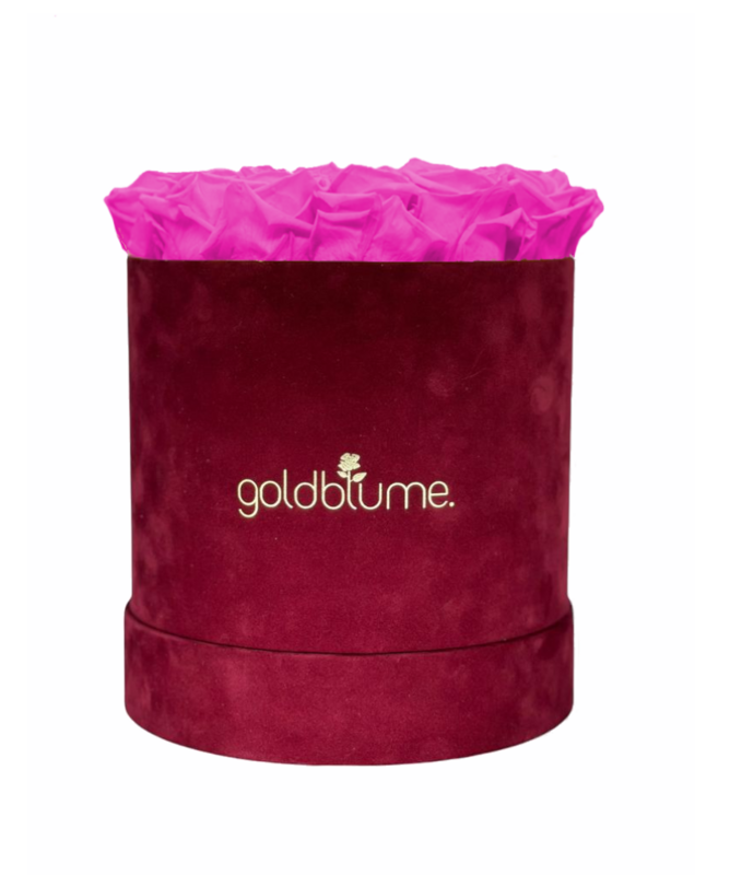 Velvet Bordeaux Collection