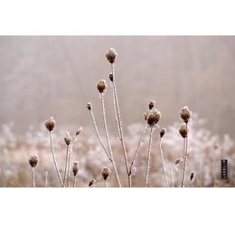  A natural plant protection cover, 80x52cm in size, made of natural materials.