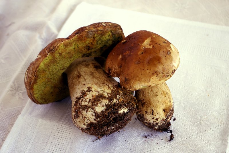 Cream sauce with porcini mushrooms | 180g