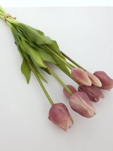 Tulpenbund Irma 47cm