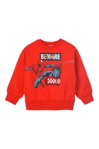 Lot of 12 Units | Spiderman Sweatshirt for Children | Officially Licensed Products | SUN CITY Group
