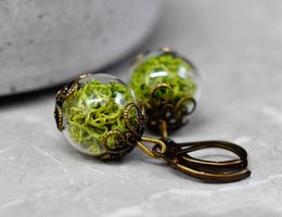 Pendientes de musgo real - Pendientes de plantas de musgo verde de Islandia - VINOHR-17