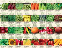 Dyrk dit eget Grand Seed Kit