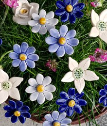 Daisy blue small 3.5 cm