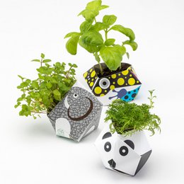 Urban Jungle Kit - Collectie regenwouddieren