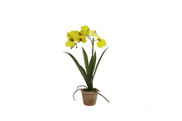A potted artificial phalaenopsis orchid plant with yellow flowers.