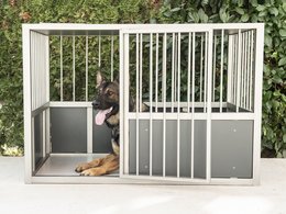 Large dog crate with metal frame and glass panels, suitable for extra-large dogs. Features a spacious interior and a raised platform for comfort.