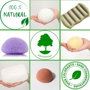 Konjac Face Sponge Discovery Pack - Box or Bulk