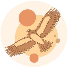 A decorative wall circle featuring a stylized hawk or eagle in flight against an abstract orange and beige background. The hawk has outstretched wings and appears to be soaring or gliding. The wall circle is available in multiple sizes ranging from 20cm to 100cm in diameter.
