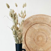 Phalaris Natural Dried Flowers