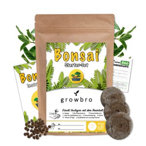 growbro - Bonsai Light Anzuchtset - Züchte deinen neuen BRO # kleines Geschenk #  Bonsai Geschenk # Bonsai Samen # TikTok Trend