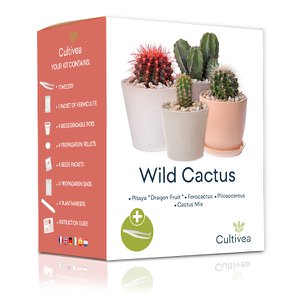 CULTIVEA® Mini Ready to Grow Cactus Kit - Tuinieren en decoreren - Cadeau-idee (Pitaya “Dragon Fruit”, Ferocactus, Pilosocereus en Cactus Mix) - Made In France - DIY