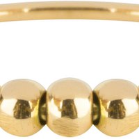 R517 Palm Gold Steel Charmin's