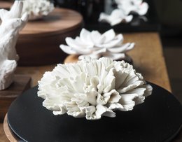 CHAN-XL BOX 20cm