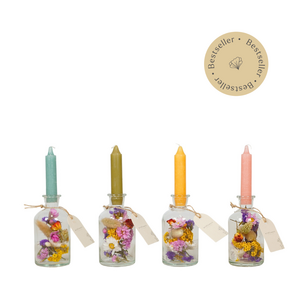 Gedroogde bloemen helderheid vaas - multi