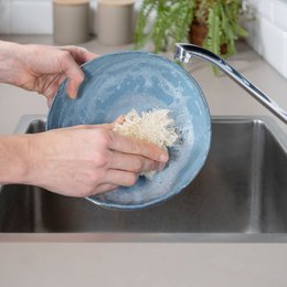 Luffa Geschirrschwamm