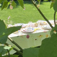 The sweet life of a butterfly - Tafelkleed