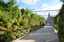 Aromatisierter Gin