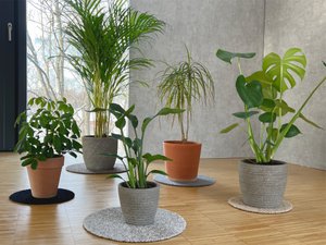 Bloempotonderzetter flora-s, ⌀ 25 cm, 7 kleuren