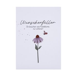 Sonnenhut-Saat - Wunscherfüller