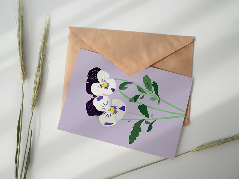 Floral Postcard - Pansy