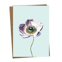 Greeting card Leporello Anemone