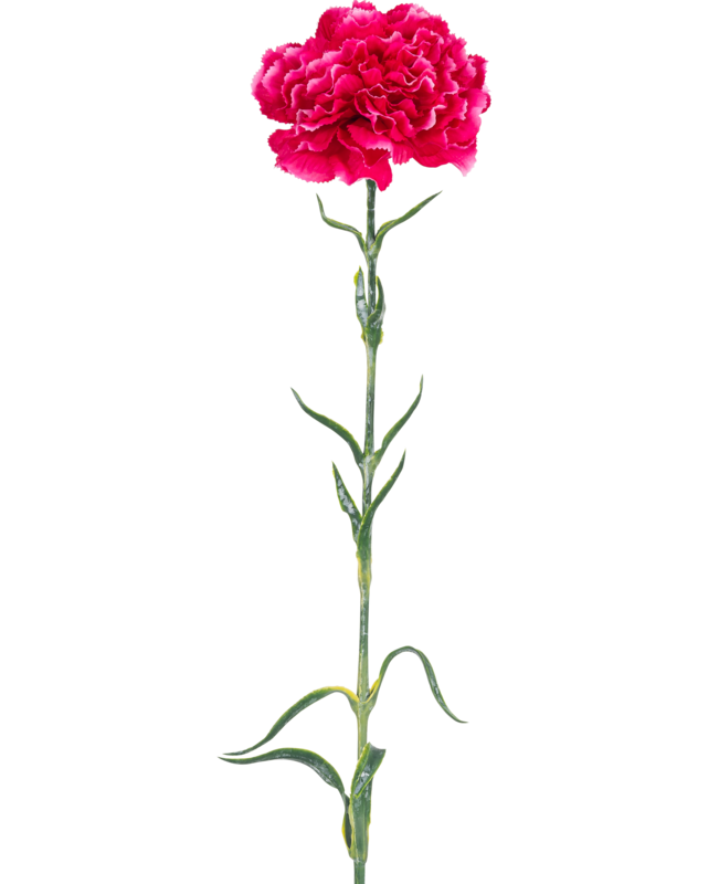 Flor artificial Clavel 69 cm rosa brillante