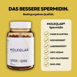 Spermidina