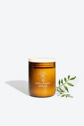 Tall, round scented candle in amber glass jar with gold lid. Fragrance of fresh pine and citrus.