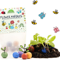 5er Blumenmurmeln im Pergaminbeutel (DE, EN, ES, FR)