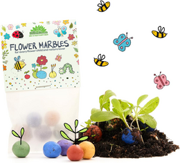 5er Blumenmurmeln im Pergaminbeutel (DE, EN, ES, FR)