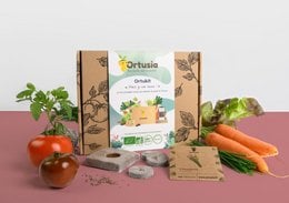 A gardening kit containing various seeds and gardening tools, including a trowel, gloves, and a wooden box with a floral design.