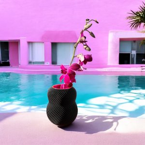Bloom 100% * Black