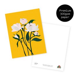 Kwiatowa Pocztówka - Piwonie