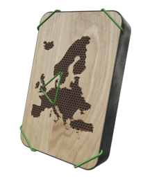 L'Europe 