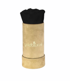 Velvet Beige Collection
